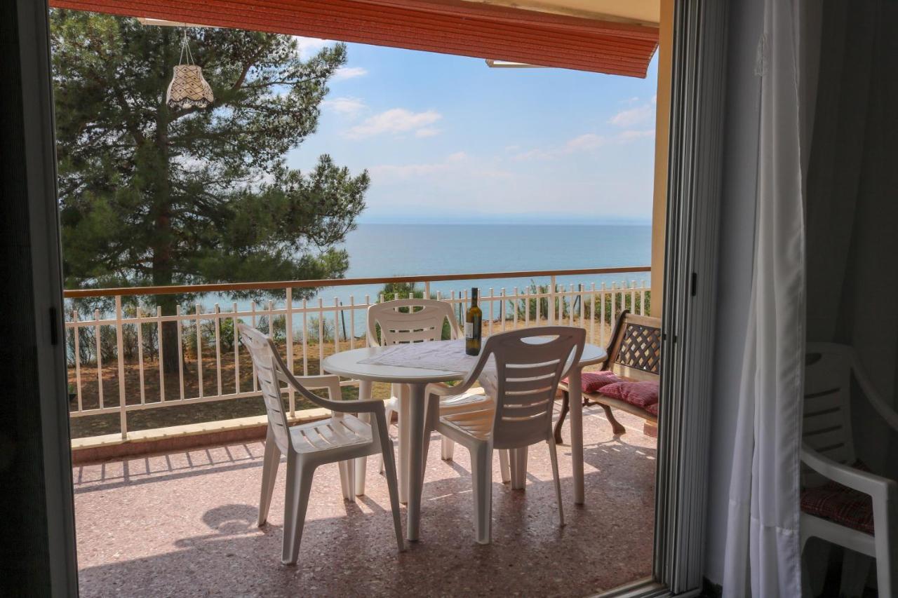 Sunshine House Offering Spectacular Views To Olymp A Apartment Неа Ираклия Екстериор снимка
