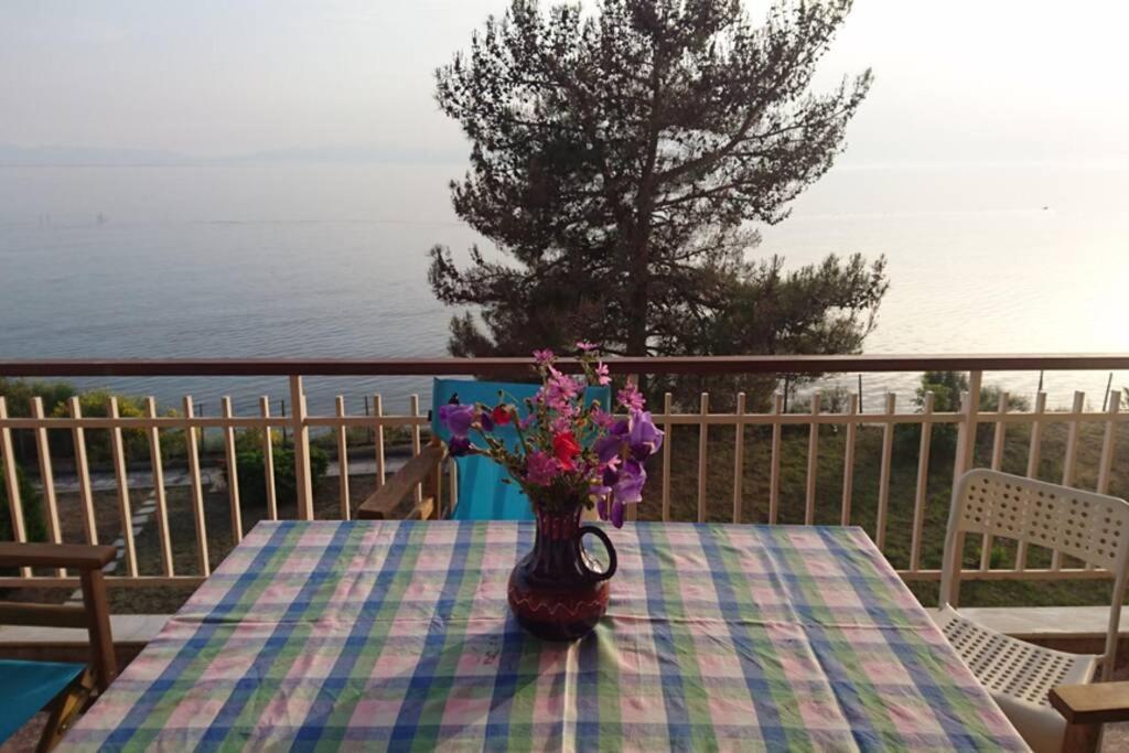 Sunshine House Offering Spectacular Views To Olymp A Apartment Неа Ираклия Екстериор снимка
