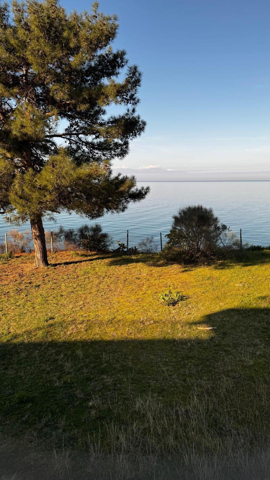 Sunshine House Offering Spectacular Views To Olymp A Apartment Неа Ираклия Екстериор снимка