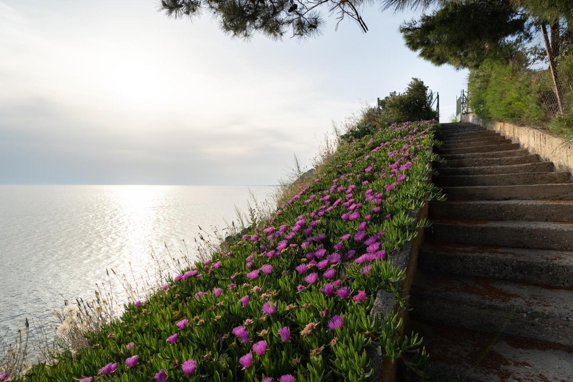 Sunshine House Offering Spectacular Views To Olymp A Apartment Неа Ираклия Екстериор снимка